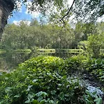 Hébergement de vacances Unikt Skipperhus Med Honer I Hagen Hvaler