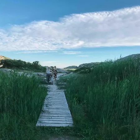 別荘 Unikt Skipperhus Med Honer I Hagen *