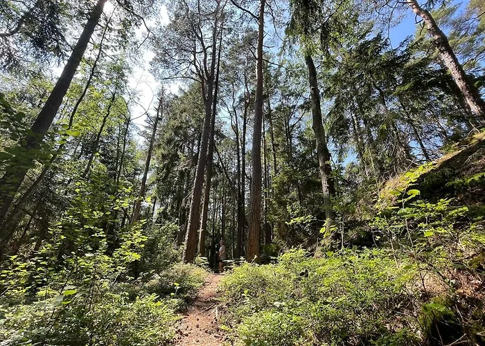 Prázdninový dům Unikt Skipperhus Med Honer I Hagen